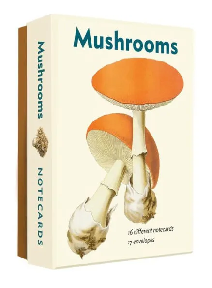 Mushroom Notecards & Envelopes